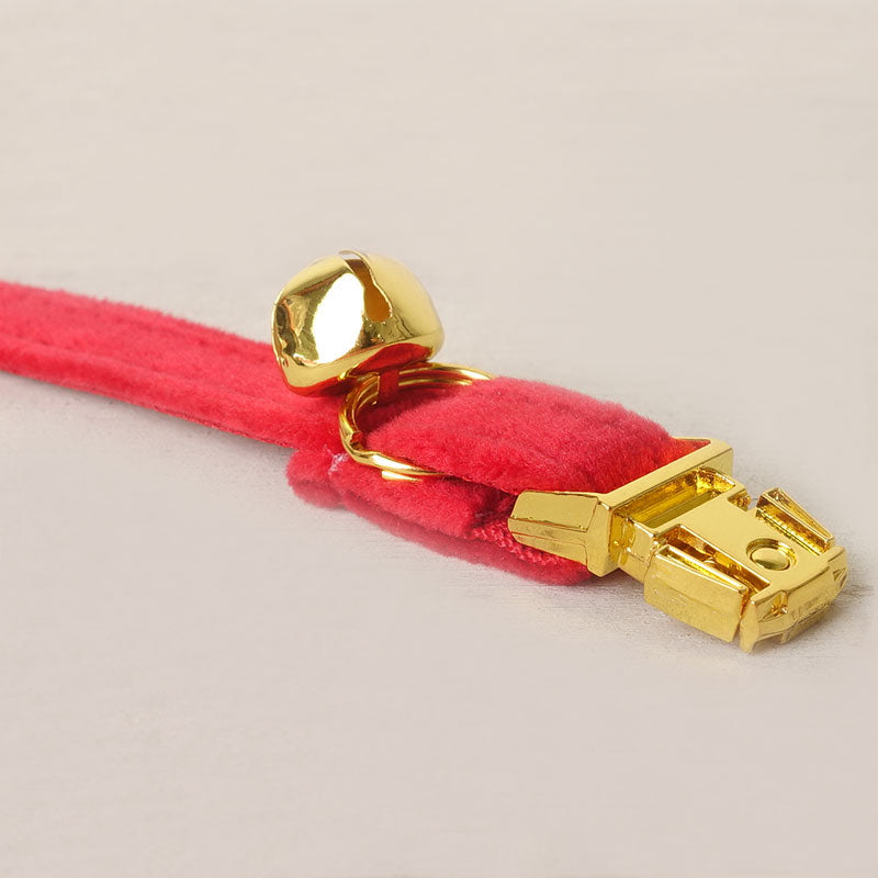 PETDURO Personalized Cat Collar Bright Gold Buckle Cute Red Velvet