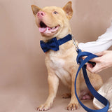 Custom Dog Collar with Leash Bow Tie Set Navy Blue Thick Velvet Metal Buckle