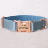 Personalized Dog Collar Set Engraved Rose Gold Buckle Blue Sating
