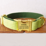 Personalized Dog Collar Engraved Bright Gold Metal Buckle Mint Green Velvet