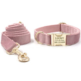 Custom Dog Collar with Name Engraved Gold Buckle Champaign Pink Velvet