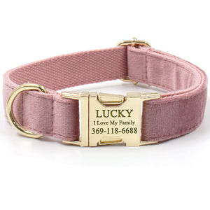 Custom Dog Collar with Name Engraved Gold Buckle Champaign Pink Velvet