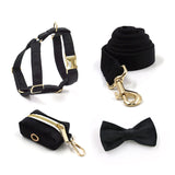 Personalized Dog Harness Engraved Gold Buckle with Matching Parts Black Velvet
