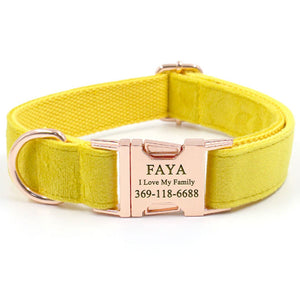 Custom Dog Collar with Name Engraved Rose Gold Metal Buckle Yellow Velvet