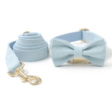 Custom Dog Collar Engraved with Leash Bow Tie Light Blue Velvet Gold Buckle