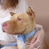 Custom Dog Collar with Name Engraved Metal Buckle Soft Cute Velvet Sky Blue