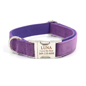 Personalized Dog Collar with Name Engraved Metal Buckle Thick Velvet Blue Purple