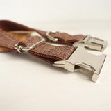 Personalized Dog Collar Engraved Metal Buckle Brown Suit with Matching Parts