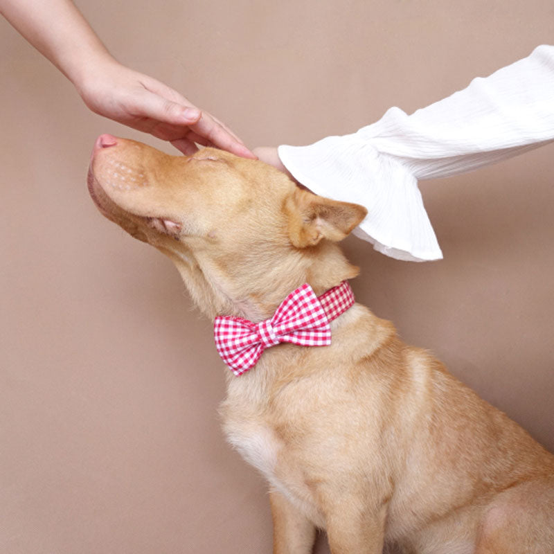 Collar Pattern Custom Dog Bow Tie How To Make Diy Dog Collar Bows