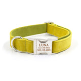 Personalized Dog Collar Engraved Metal Buckle Cute Thick Velvet Green Yellow