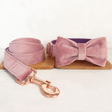 Personalized Dog Collar Set Engraved Rose Gold Buckle Pink Purple Velvet