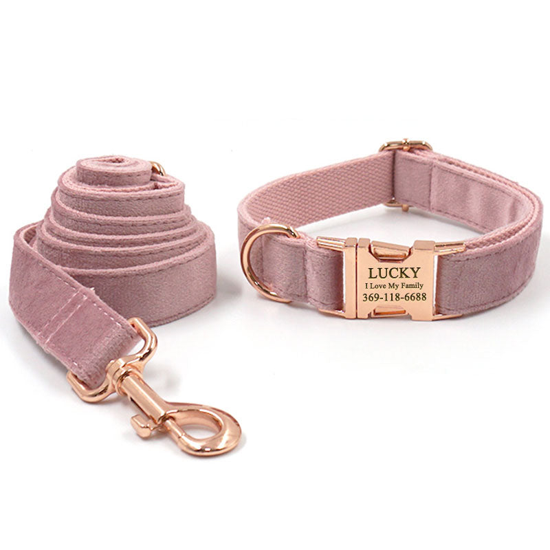 PETDURO Personalized Dog Collar Engraved Rose Gold Buckle Pink Velvet