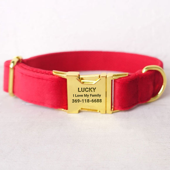 Personalized Dog Collar Set Engraved Bright Gold Buckle Red Velvet