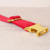 Personalized Dog Collar Set Engraved Bright Gold Buckle Red Velvet